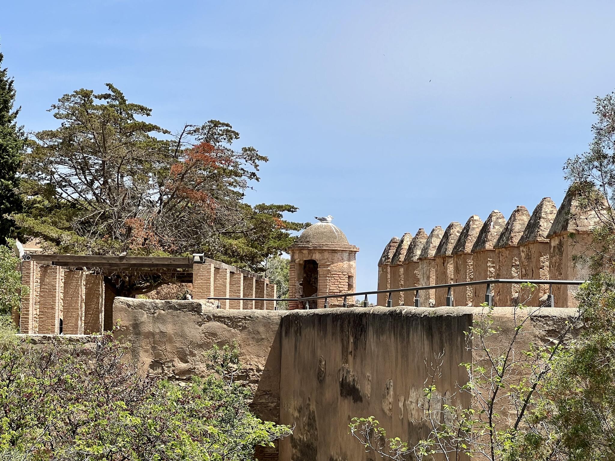 Le château du Gibralfaro